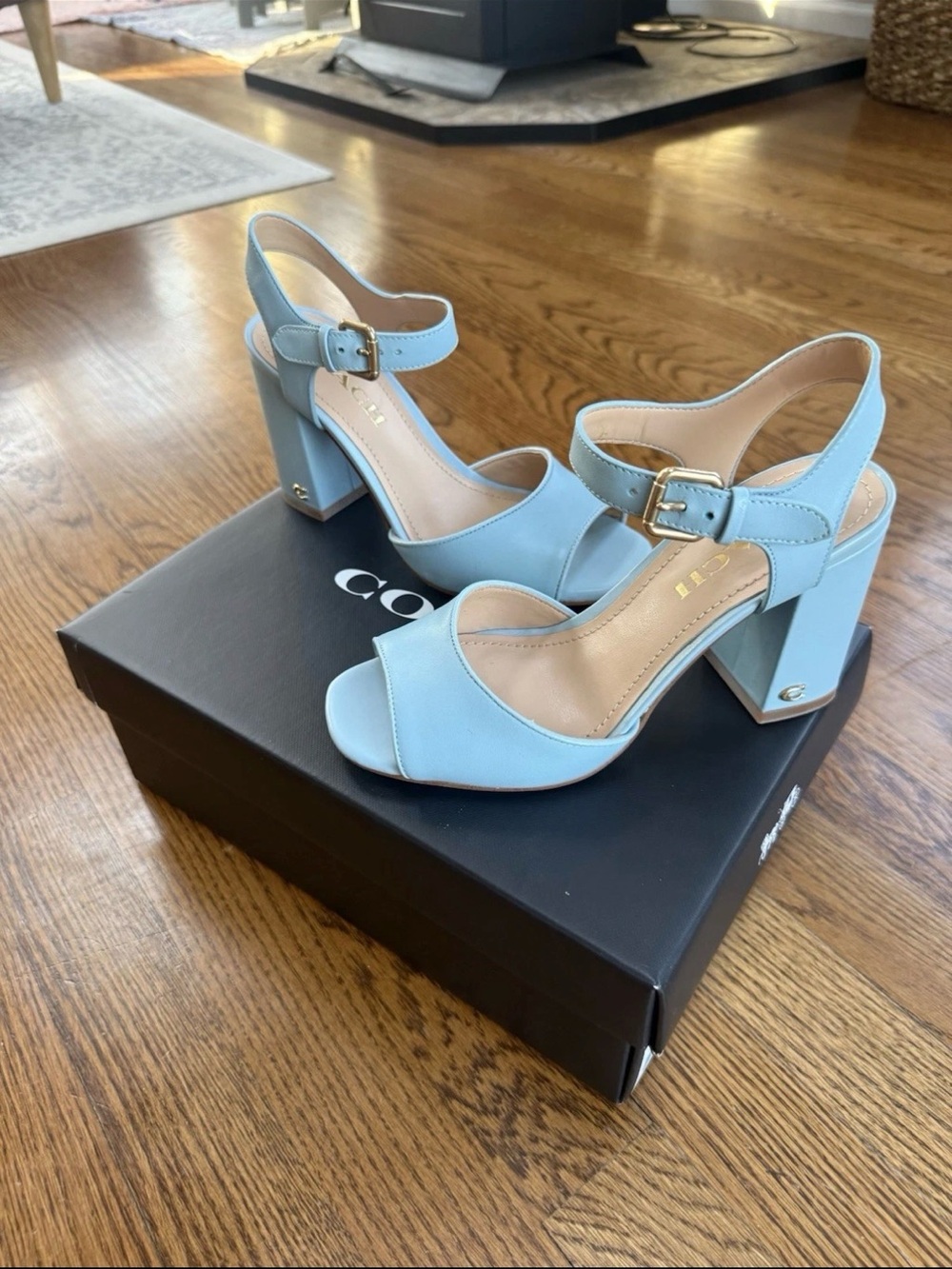Coach Women’s Light Blue Block Heel Sandals with Ankle Strap